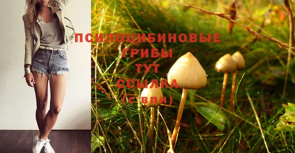 альфа пвп Баксан