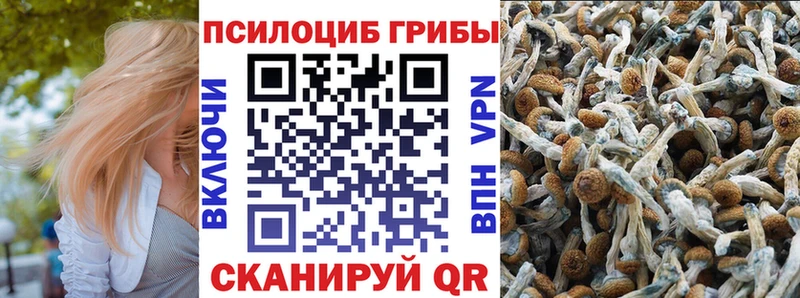 Галлюциногенные грибы ЛСД  Баксан 